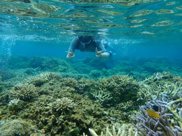 奇跡の島「バラス島」で楽しめるアクティビティ