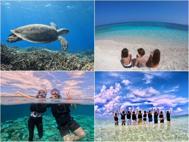 石垣島・浜島ツアーでのウミガメ遭遇やシュノーケリング体験のコラージュ画像。
