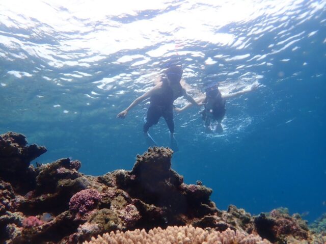 幻の島シュノーケリング、石西礁湖