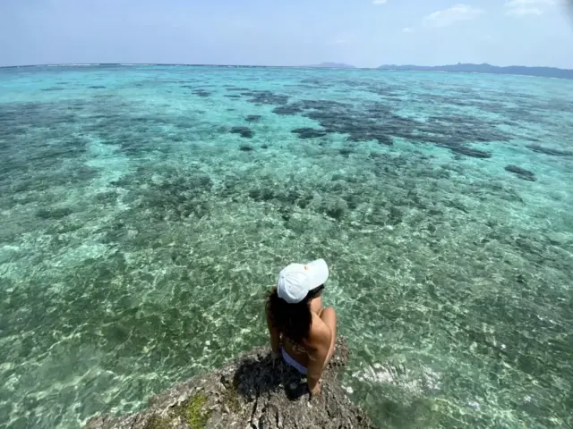 石垣島のサンゴはなぜ美しい？石垣島のサンゴ礁を楽しむおすすめスポットと最新アクティビティ