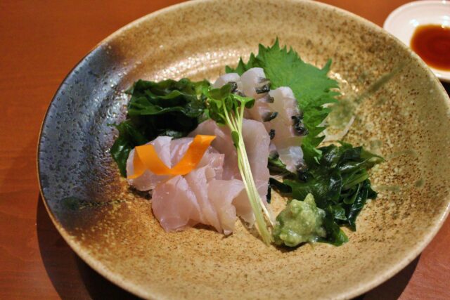 石垣島の魚と出会う！シュノーケリング・ダイビングで楽しむ海中世界