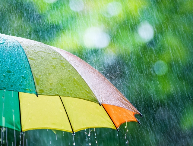 雨の日
