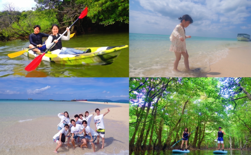 マングローブSUP/カヤックと幻の島上陸